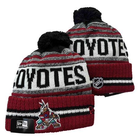 Arizona Coyotes Beanies Knit Hat